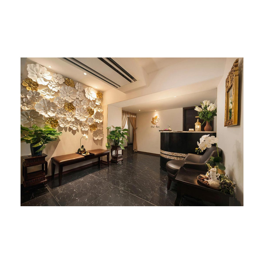 Hanoi Ciel Spa