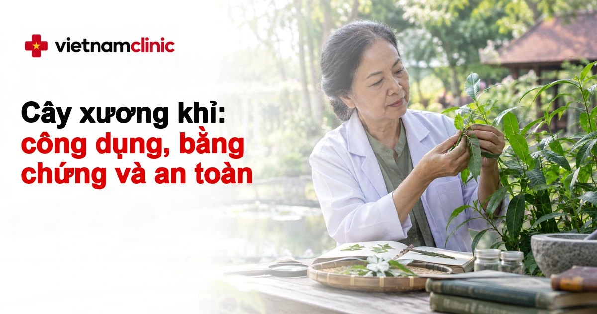Cây xương khỉ: công dụng, bằng chứng và an toàn
