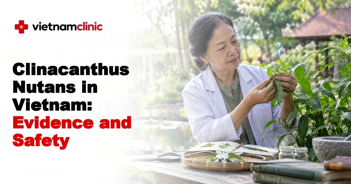 Clinacanthus Nutans in Vietnam: Evidence and Safety
