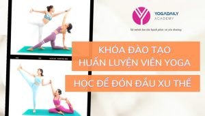 Yogadaily Academy