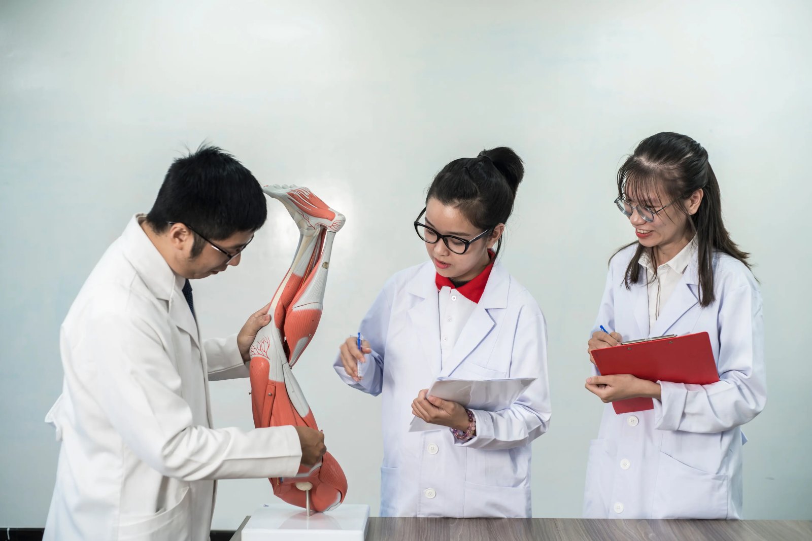 Van Lang University Faculty of Medicine