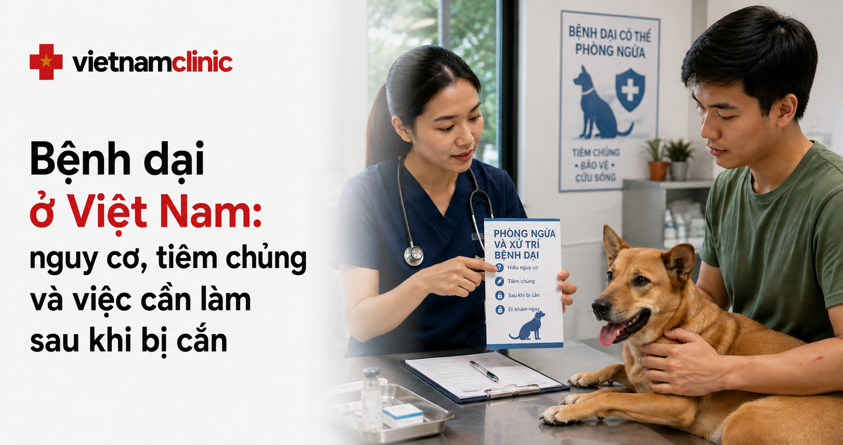 Bệnh dại ở Việt Nam: nguy cơ, tiêm chủng và việc cần làm sau khi bị cắn